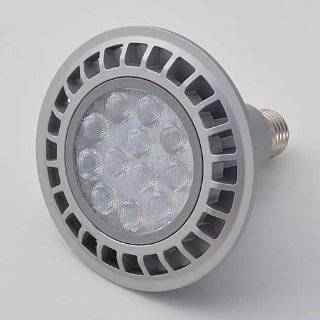   Warm White SMD LED Flood Light Bulb, 1313WW CV: Patio, Lawn & Garden