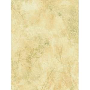  NATURAL FINISHES Wallpaper  NF27046 Wallpaper