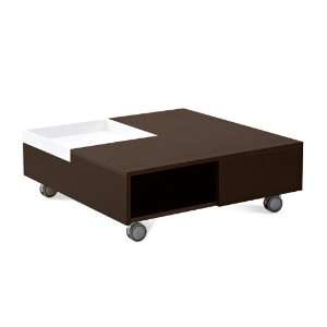   Domitalia Roy Square Coffee Table ROY RM/LBB: Home & Kitchen
