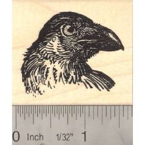  Raven Bird Portrait Rubber Stamp Arts, Crafts & Sewing