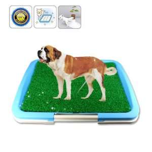 Large Dog Toilet (with Lawn) 63cm by 48.5cm by 6cm Pet 