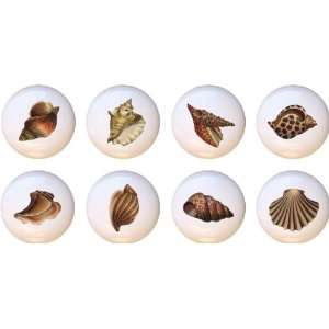  Pretty Seashells Drawer Pulls Knobs Set of 8