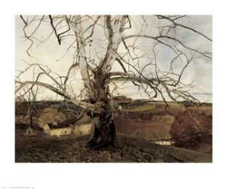 andrew wyeth was born in chadds ford pennsylvania the youngest child 
