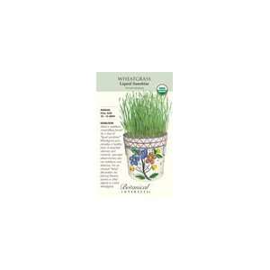  Wheatgrass 50 Grams Pack Organic Patio, Lawn & Garden