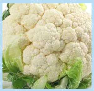 Cauliflower seeds   VIGOROUS DWARF TYPE~~~ SNOWBALL Y~  