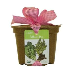  Lettuce Mix Gardening Kit: Patio, Lawn & Garden