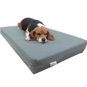   Foam Pet Dog Bed Pad with Durable Canvas External cover: Pet Supplies