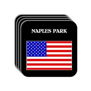 US Flag   Naples Park, Florida (FL) Set of 4 Mini Mousepad Coasters