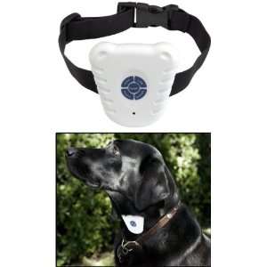  Bark Control Dog Collar: Pet Supplies