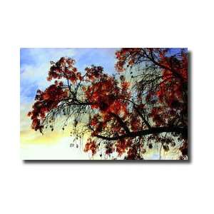  Autumn Glow Giclee Print