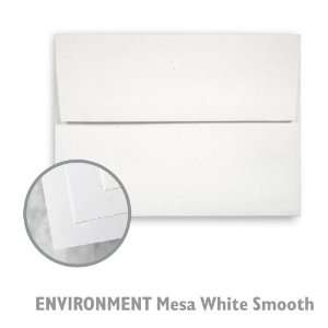    ENVIRONMENT Mesa White Envelope   1000/Carton