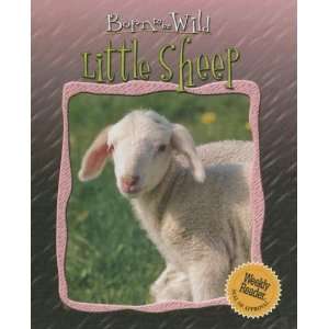  Little Sheep (Born to Be Wild) (9780836861693) Christian 