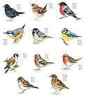 bird select breed size waterslide ceramic decals  