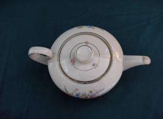 Tirschenreuth China, Germany, Multifloral, Teapot/Lid   VERY RARE   No 