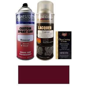   Spray Can Paint Kit for 2011 Porsche Panamera (M4Z/N6) Automotive