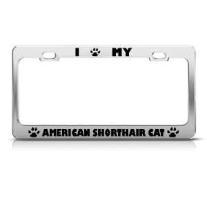 American Shorthair Cat Chrome license plate frame Stainless Metal Tag 