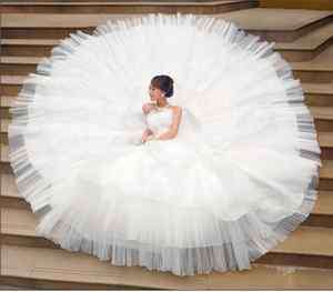 White/Ivory Long Tail Wedding Dress Bridal Gown *Custom* Size:4 24 
