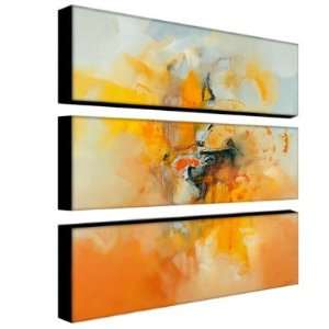   Abstract by Zavaleta Canvas Art (Set of 3) Number IV