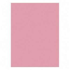  Nature Saver 22310 Construction Paper, 9 in.x12 in., 50/PK 