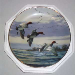   David Maass Ducks Taking Flight Commemorative Plate 