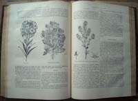 PLANTAS QUE CURAN Y MATAN LIBRO por Dr. J. Rengade 1886  