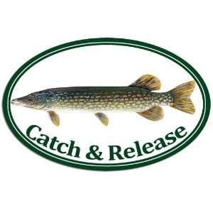  Oval Pike Catch and Release Fishing Sticker: Everything 
