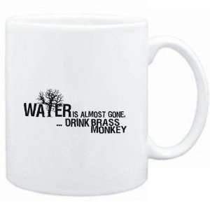   Water is almost gone  drink Brass Monkey  Drinks