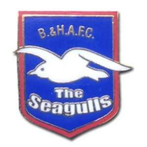  Brighton & Hove Albion Pin Badge