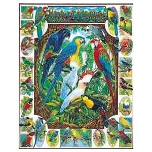  Birds of Paradise Jigsaw Puzzle 1000pc Toys & Games