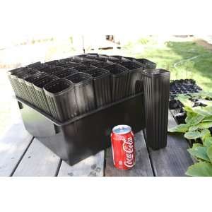  Thirty six 10 Mini Tree Pots with tray: Patio, Lawn 