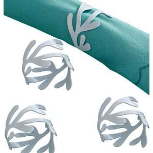   Napkin Rings with Powder Coated Finish, Set of 4: Home & Kitchen