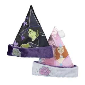   Reversible Good Witch, Bad Witch Santa Hat  Toys & Games  