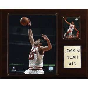  NBA Joakim Noah Chicago Bulls Player Plaque Sports 