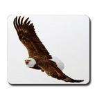 Artsmith Inc Mousepad (Mouse Pad) Eagle on American Flag