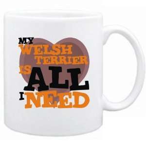  New  My Welsh Terrier Is All I Need  Mug Dog