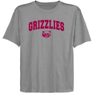 Montana Grizzlies Youth Ash Logo Arch T shirt  Sports 