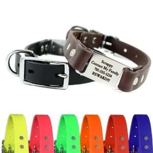   Soft Grip ScruffTag™ Personalized Dog Collar  8 Colors: Pet Supplies