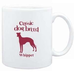    Mug White  Classic Dog Breed Whippet  Dogs: Sports & Outdoors