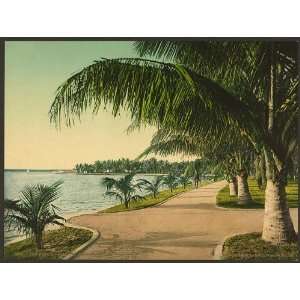  Walk at Palm Beach,ocean,waterfront,Florida,FL,c1898