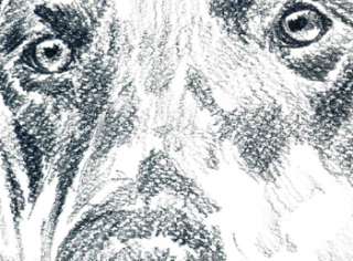Kunstdruck Dobermann 16, Hunde, Tiere, A4  