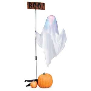   Color Changing Floating Ghost with Boo Sign on a Stand Toys & Games