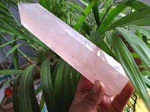 Mystical long natural rose quartz crystal point healing  