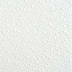 090 FRP Wall Board 4FTx8FT White Reviews (6 reviews) Buy Now
