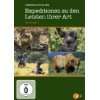Wildes Deutschland [2 DVDs]  Christoph Hauschild, Thoralf 