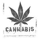 Pot T Shirt Cannabis With Leaf Stencil Marijuana Tee Funny Shirt