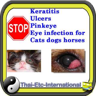 Pfizer antibiotic Opthalmic eye Ointment Cat Dog Horse conjunctivitis 