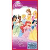 Disney Princess Valentines Day Cards and Stickers