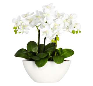   White Vase Artificial Silk Flower Arrangement By NEARLY NATURAL  