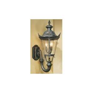   Light Outdoor Wall Light in Dark Bronze with Molded Acrylic Lens glass