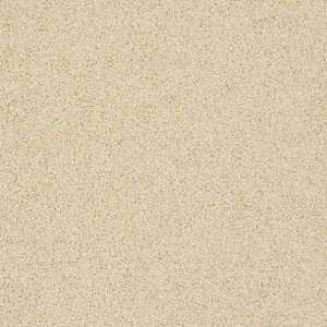 Armstrong Possibilities Petit Point Brushed Sand Vinyl Flooring 